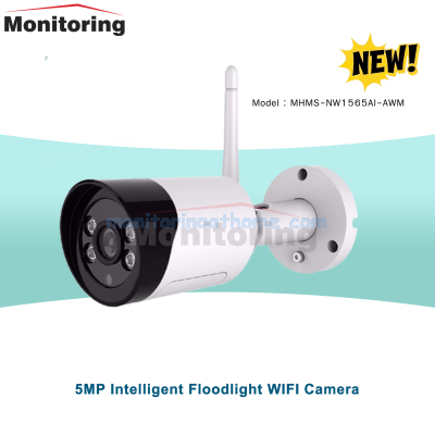 5MP Intelligent Floodlight WIFI Camera
