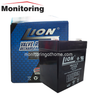 12V 5AH battery